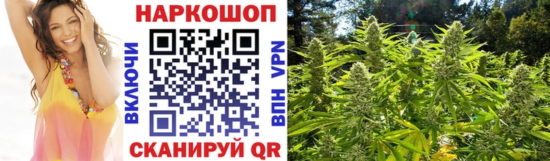 Магазины продажи наркотиков Зея А ПВП  COCAIN  МЕФ  Конопля  Гашиш 