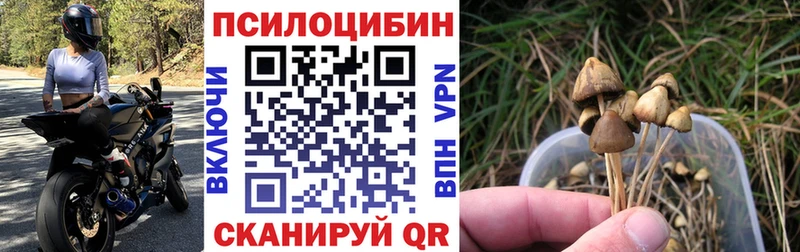 Псилоцибиновые грибы ЛСД Зея